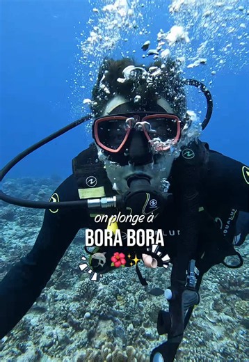 Plonger à Bora Bora, ça vaut le coup ? 🤿🌴 Honnêtement, si tu viens à Bora Bora et que tu veux découvrir le lagon sous l’eau, je trouve que ça vaut vraiment le coup. Nous, on a surtout adoré pouvoir partager cette plongée avec nos copains qui n’avaient pas encore de niveau. Pouvoir être tous les quatre sous l’eau au même moment, ça a clairement rendu l’expérience encore plus cool. 🥹 Le lagon est magnifique, on a vu énormément de poissons, des requins, des raies léopards et même une petite grot