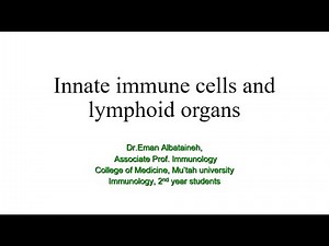 Immunology - Innate cells and lymphoid organs