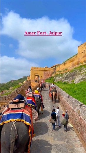 Amer Fort, Jaipur Rajasthan ✨