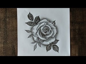 how to draw realistic rose flower drawing with pencil | step by step draw flower with pencil #Uart