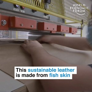 77K views · 935 reactions | Finnovation at its finest .  Read more: https://buff.ly/3cw6xgJ James Dyson Award | World Economic Forum | Facebook