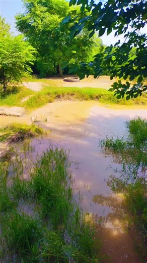 Islam My Jan islamic video #islamic #nazam