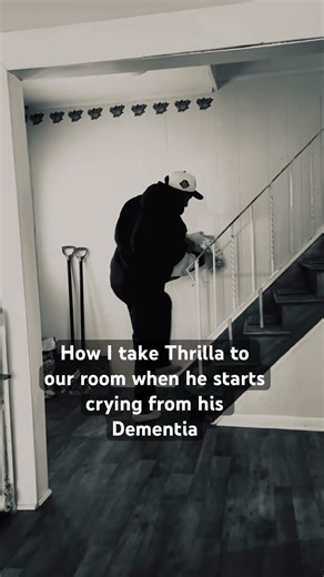 Our cat and Dementia #fyp #catsofyoutube #cat