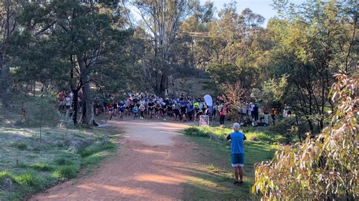 Mount Ainslie parkrun #342 start video | Mount Ainslie parkrun
