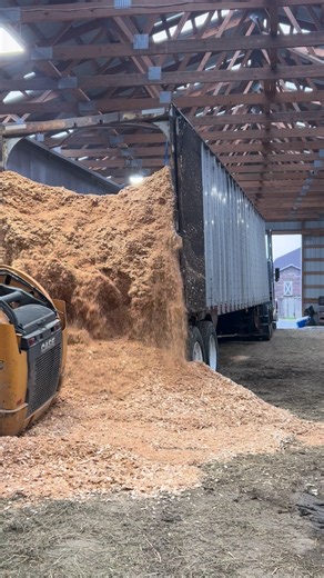 🌾 Livestock Bedding – Shavings & Sawdust Mix 🐄🐎 High-quality bedding delivered directly to your farm. Custom load sizes from 10 to 90 yards Walking floor trailer delivery for quick, clean unloading Message us for more details. | Rolling M Farm