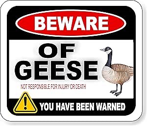 BEWARE OF GEESE NOT RESPONSIBLE FOR INJURY OR DEATH FARM Aluminum Composite Outdoor Sign 8.5" x10"