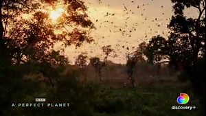 33K views · 345 reactions | How do natural forces like volcanos,...