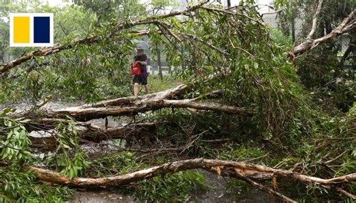 Downed trees and flooding as Super Typhoon Saola passes through Hong Kong