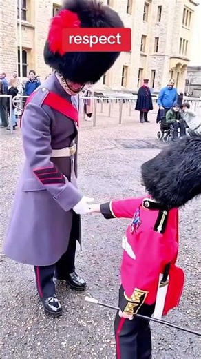 Don’t mess with the king’s guards #horse #britishsoldier #tourist