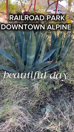 AMAZING volunteers have created a beautiful park in Alpine! Full of art and whimsy it’s the perfect place to relax and enjoy our lovely little town ❤️❤️#alpinetexas #alpinetx | Visit Alpine, Texas