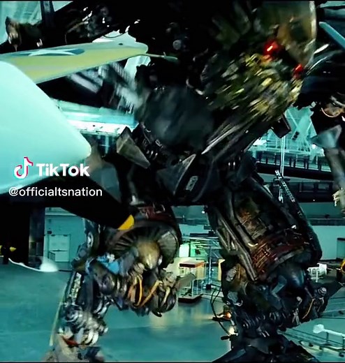 The Ts Nation on TikTok