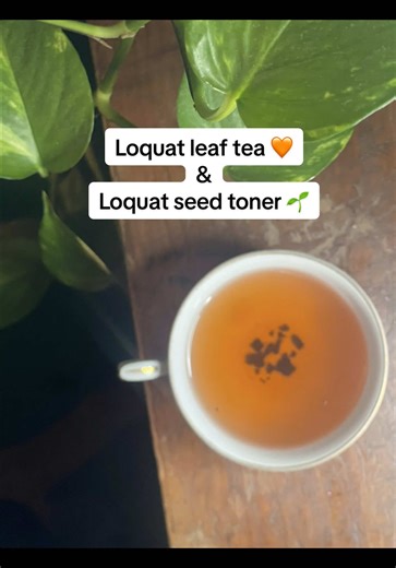 Using homemade loquat seed toner to boost collagen and clean my skin & drinking loquat leaf tea to promote overall cellular health. 🍵🧖🏽‍♀️✨ #loquat #herbalism #tea #skintok #fyp