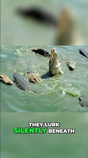 How the Saltwater Crocodile Perfected the Art of Ambush