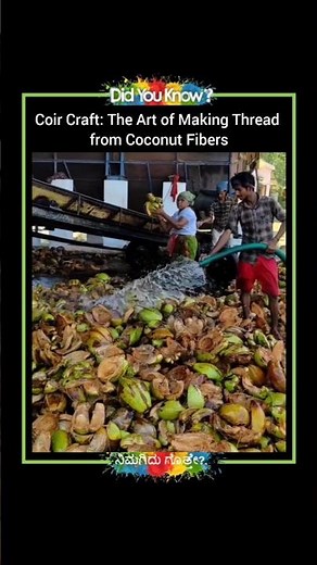 Coir Craft: The Art of Making Thread from Coconut Fibers