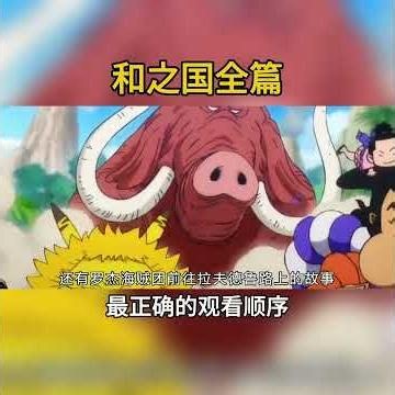 盤點以最正確的觀看順序！快速看完海賊王和之國篇！ #海賊王