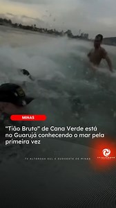 884K views · 20K reactions | AOS 71 ANOS, TIÃO CONHECE O MAR | Nos últimos dias quem acessou as redes sociais deu boas risadas. O “Tião Bruto” de Cana Verde está no Guarujá conhecendo o mar pela primeira vez. A ideia foi do amigo, Gustavo Tubarão. Tião experimentou a água salgada, entrou na água e se encantou com a praia. #CanaVerde Jornalismo | TV Alterosa Sul de Minas | TV Alterosa - Sul e Sudoeste de Minas | Facebook