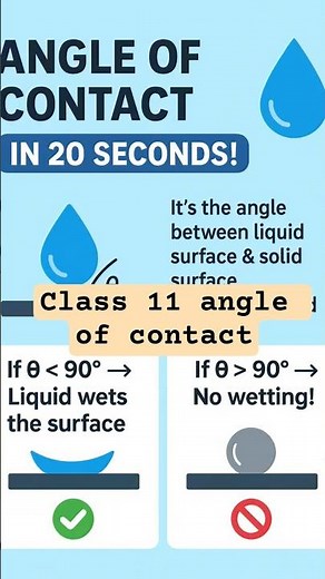 Angle of Contact Class 11 | Surface Tension Explained with Examples | Physics Chapter Fluids