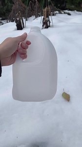 Have you tried starting your seeds outdoors by winter sowing? It will save you time, money, work, and space and give you a bit of a head start to the season. In the last 9 years, I’ve noticed that plants are hardier and more resilient when exposed to adverse conditions outdoors in the early stages. We start from January to April in zone 8. Cooler climates can start between February and April. Seeds can be planted directly in place under cloches or into plastic containers in winter through early 