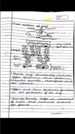 class 10 science bio chapter 1 life process full detailed notes part 1 #pw_motivation #notes #best