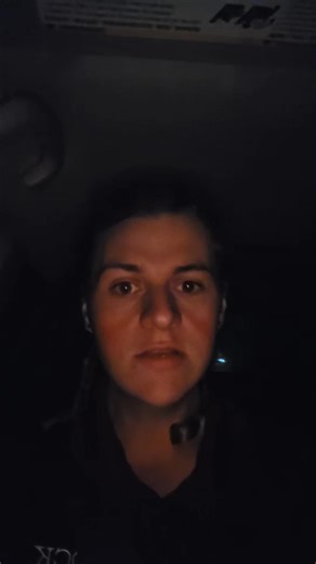 ☭𓆸Holly𓃰☭ (@oldfriendflower)’s videos with Lacrimosa - Vienna Mozart Orchestra