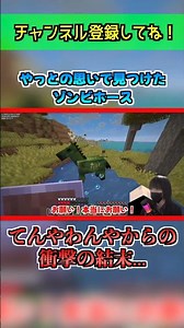 [Minecraft] I finally found a Zombie Horse after all that trouble! A chaotic situation with a sho...