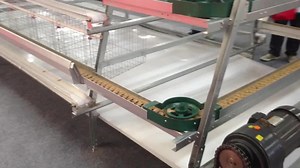 Floor Management Poultry Automatic Chicken Chain Feeding System for Broiler and Breeders