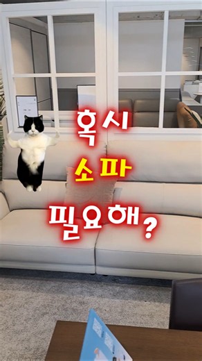 혹시 소파 필요해?🛋️ 직접 앉아보고 고르자! | 현대리바트 좌천매장