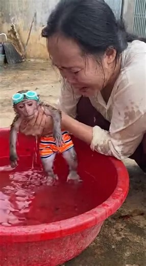 Never leave the monkey alone