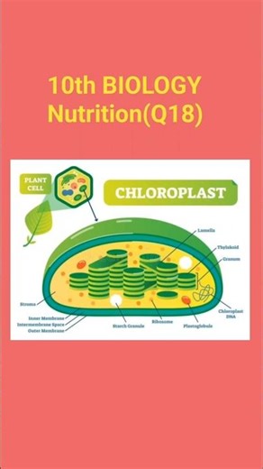 10th Biology | Nutrition Lesson | MCQ | DSC/Trt | preparation | Revision | #@learningbits2428