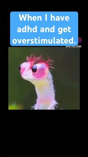 when i hyperfocus vs literally everything else #adhd #funny #relatable