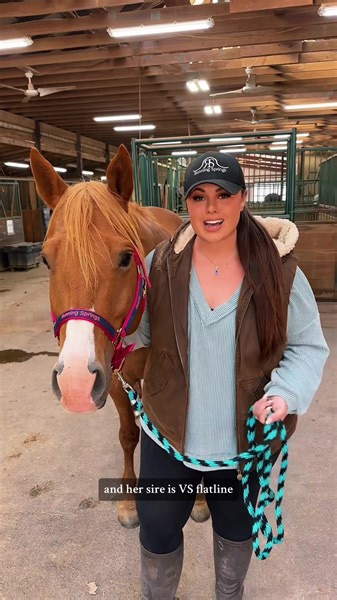 5 facts about my new mare!🐴 | Katie Van Slyke