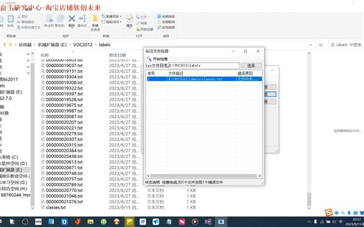 yolo转coco格式工具视频教程