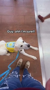 Wholesome moment a dad teaches his son about service dogs