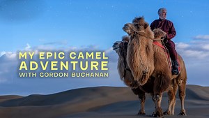 My Epic Camel Adventure with Gordon Buchanan (2024)