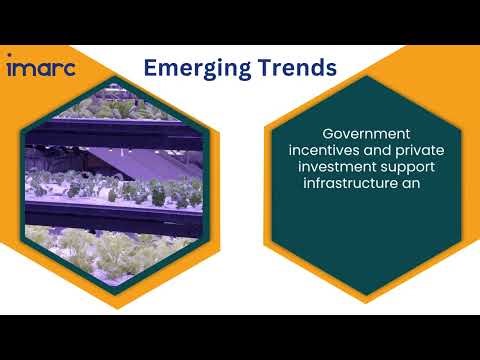 Vertical Farming Market Size, Growth, Demand, Top Companies and Forecast 2025-2033