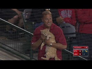 MLB Wildest Pet Moments