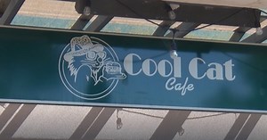 Cool Cat Café to host fundraiser for Lahaina employees
