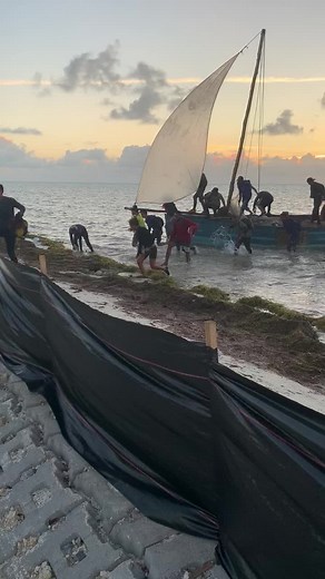 Cómo llegar a Isla Morada 17