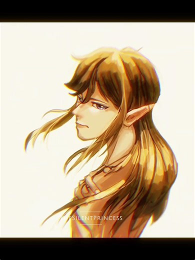 LINK IS MAJESTIC. I REFUSE TO ARGUE. # animation #shorts #funny #foryou #mustwatch #zelda #totk