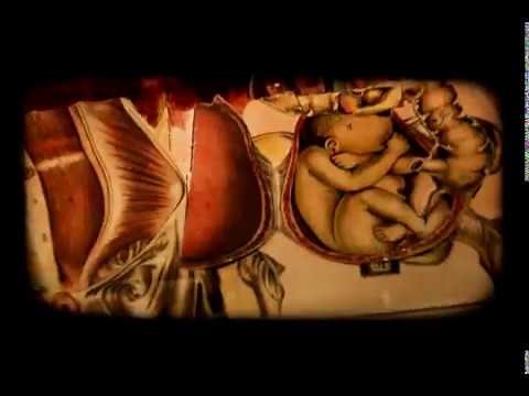 Job For A Cowboy - Embedded (OFFICIAL VIDEO)