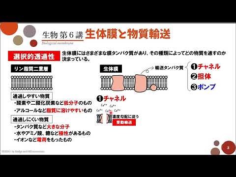 [High School Biology] Lecture 6: "Biomembranes and Material Transport"
