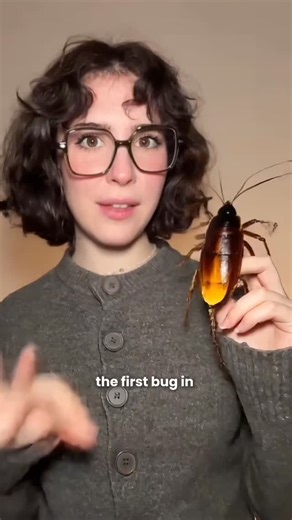 Ironhack - Tech School on Instagram: "🪰💻 Why do we call computer errors “bugs”? The term started in 1947, when engineers working on the Harvard Mark II found a real moth stuck inside the machine, causing it to malfunction. But history shows us that the concept already existed since the 19th century! 🤯 🎥 Watch the video to uncover how a moth helped shape the language of modern computing. #Ironhack #TechHistory #FunFact"