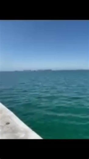 Turn Me Loose,Lover Boy #song #rock #music #california #lost