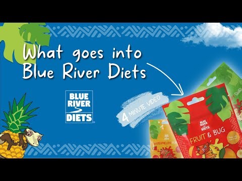 Crested Gecko Diet Explained | Quick Easy Guide to BlueRiver Diet