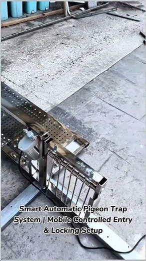 Smart Automatic Pigeon Trap System | Mobile Controlled Entry & Locking Setup#AutomaticTrap