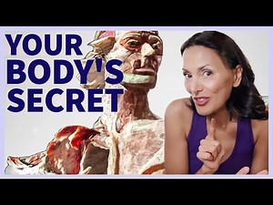 Unlock The Secrets Of Fascia