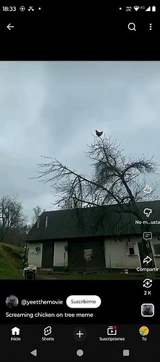 owlkitty screaming sound effect