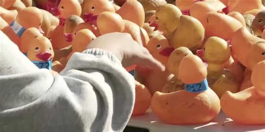 Thousands of rubber ducks to splash down in Anchorage