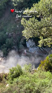 17K views · 315 reactions | حمام القوايدية ⁦❤️⁩ | Guide Randonnée Ain Drahem bni mtir Tabarka | Facebook