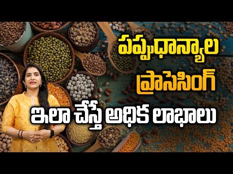 పప్పుధాన్యాల ప్రాసెసింగ్..ఇలా చేస్తే అధిక లాభాలు | Pulses Processing In Telugu